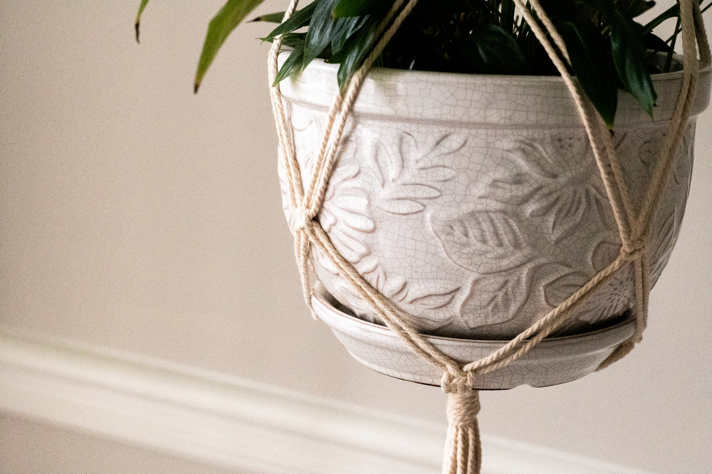 Spiral Macrame Plant Hanger