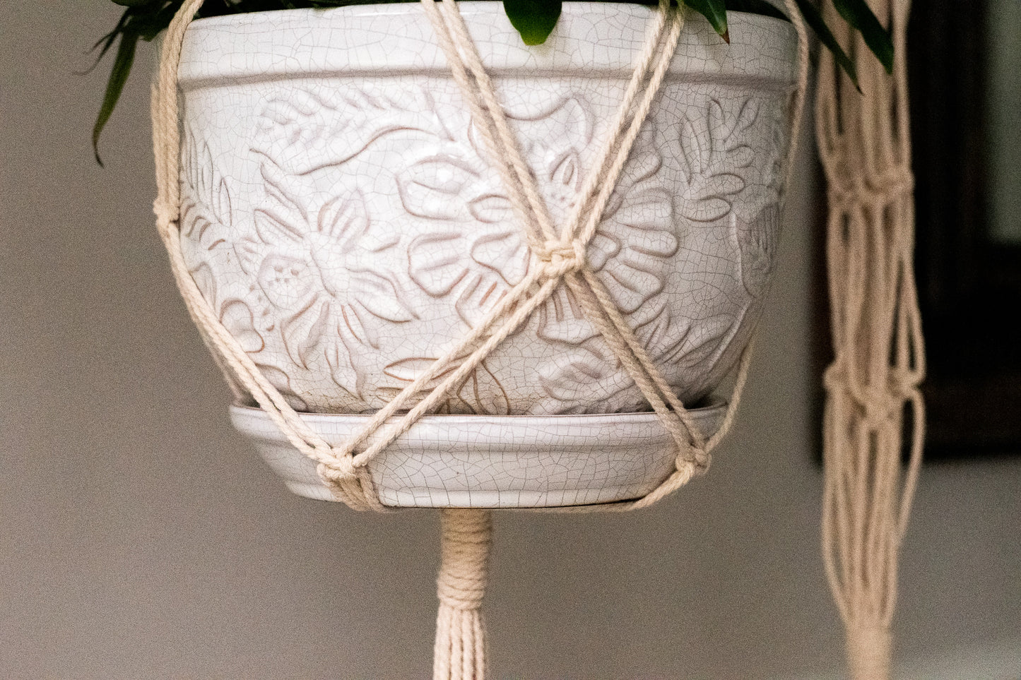 Spiral Macrame Plant Hanger