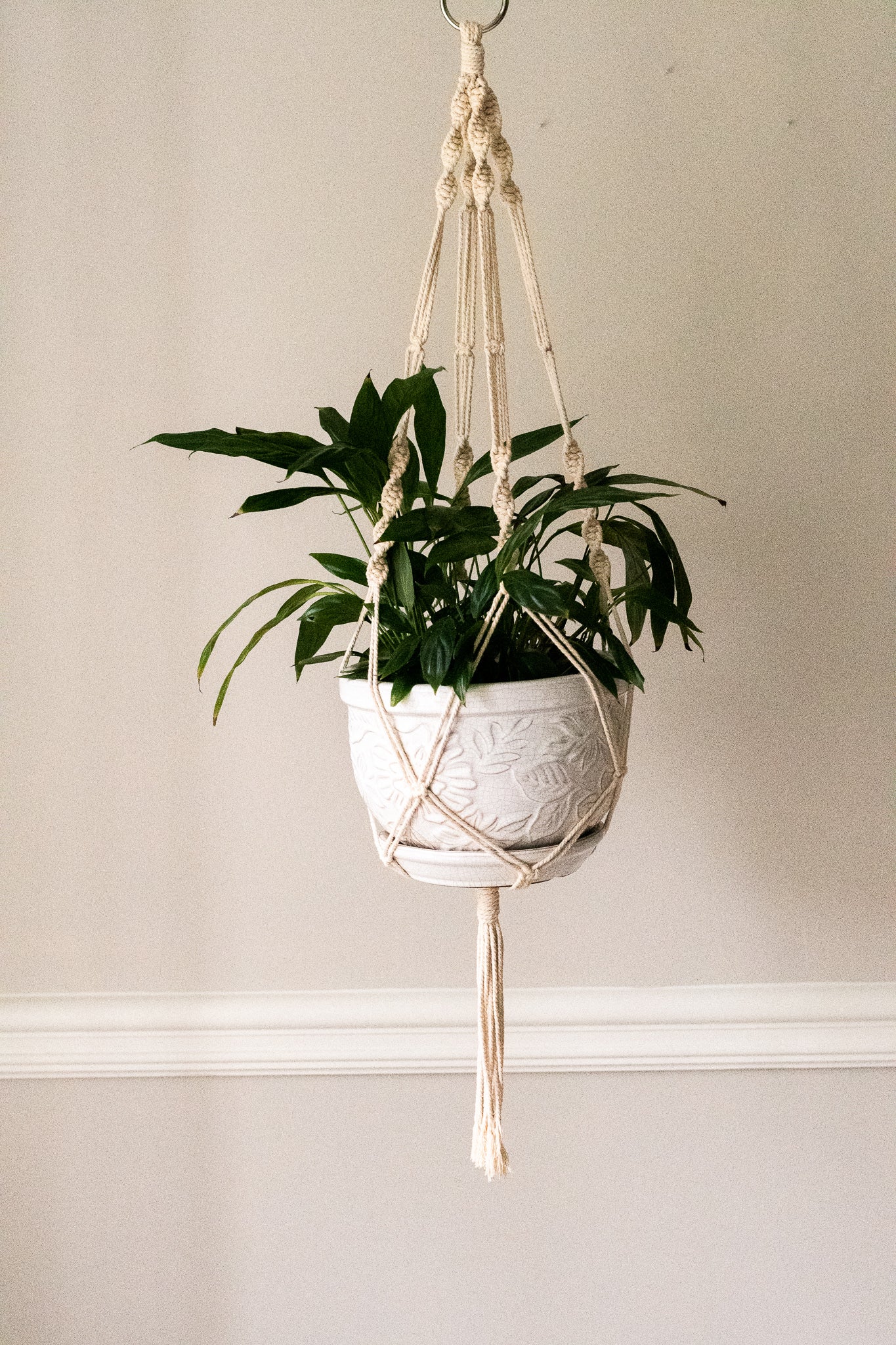 Spiral Macrame Plant Hanger