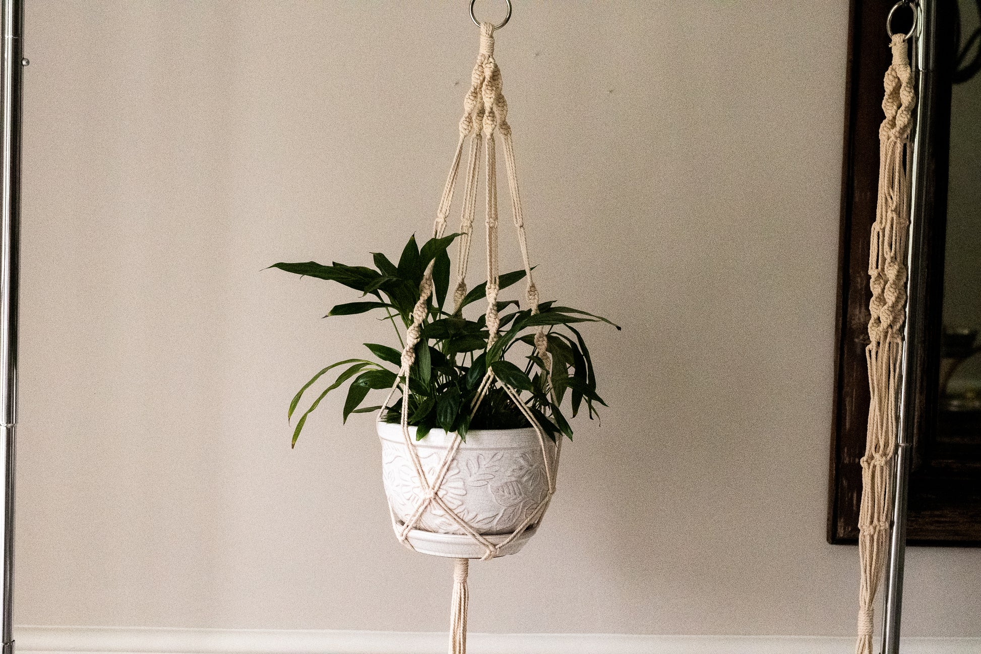 spiral plant hanger Spiral Macrame Plant Hanger – The Pennington House