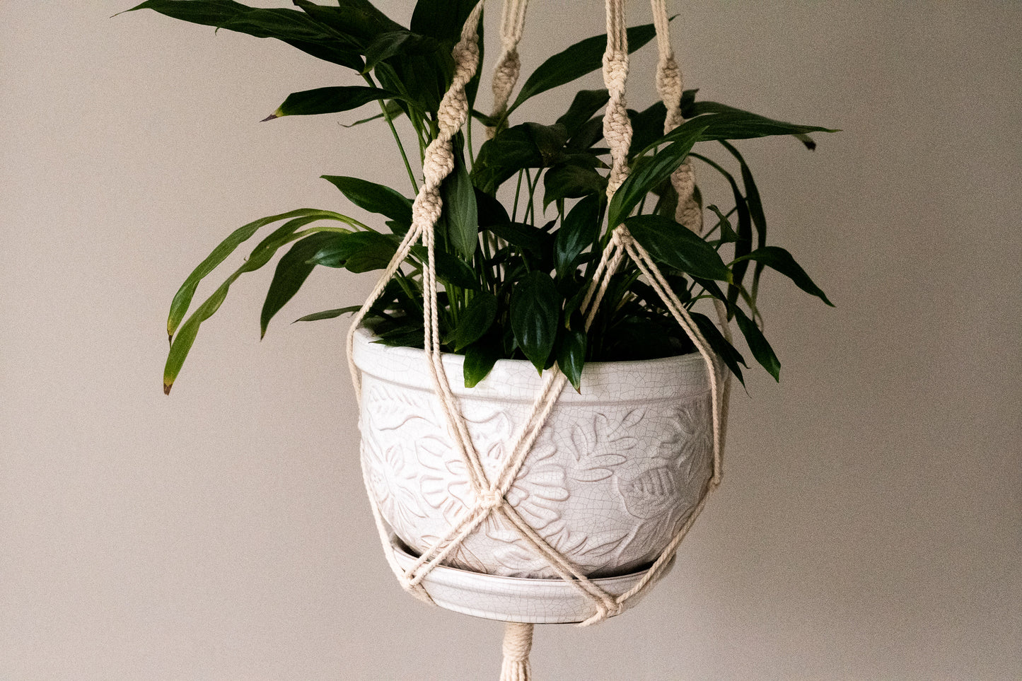 Spiral Macrame Plant Hanger