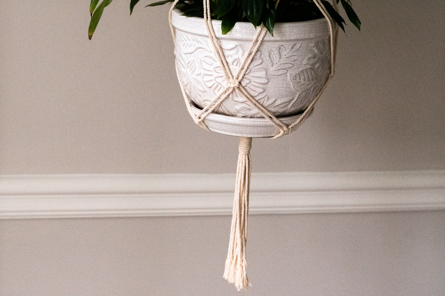 Spiral Macrame Plant Hanger