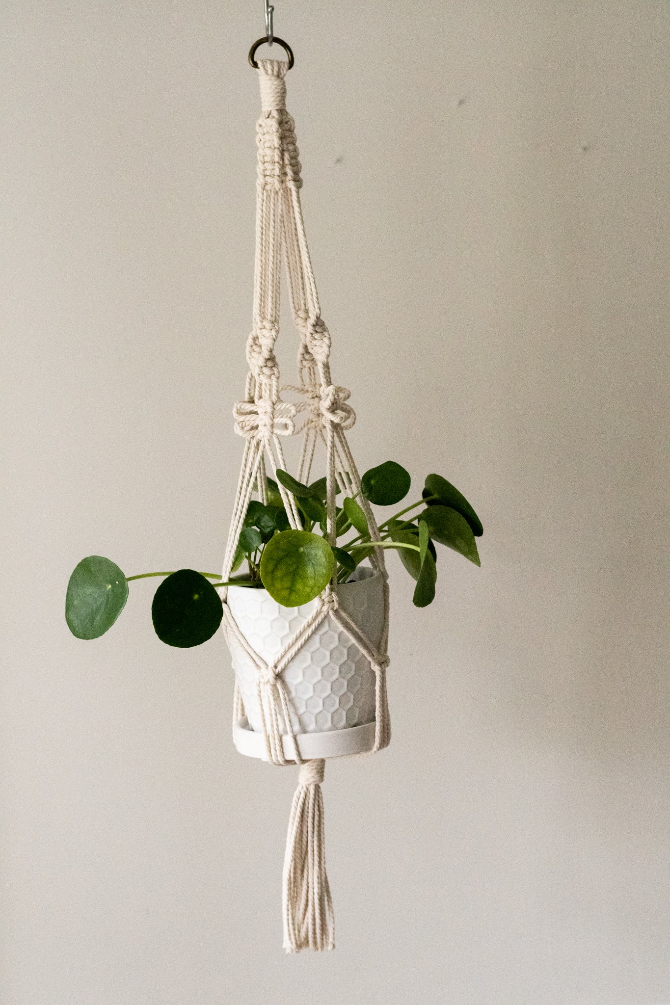 Butterfly Macrame Plant Hanger