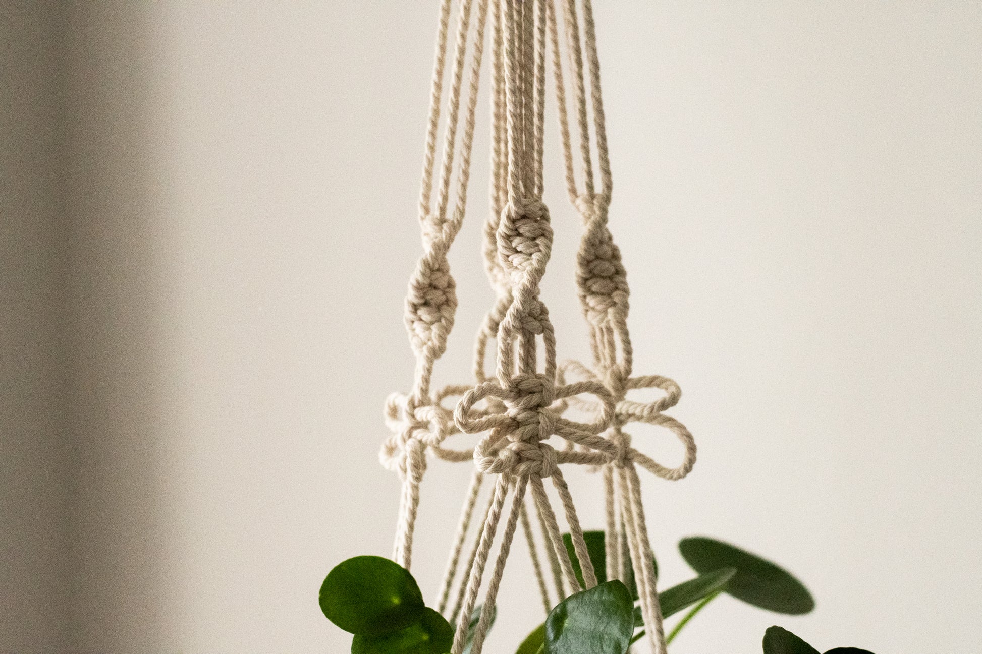 butterfly macrame plant hanger Butterfly Macrame Plant Hanger