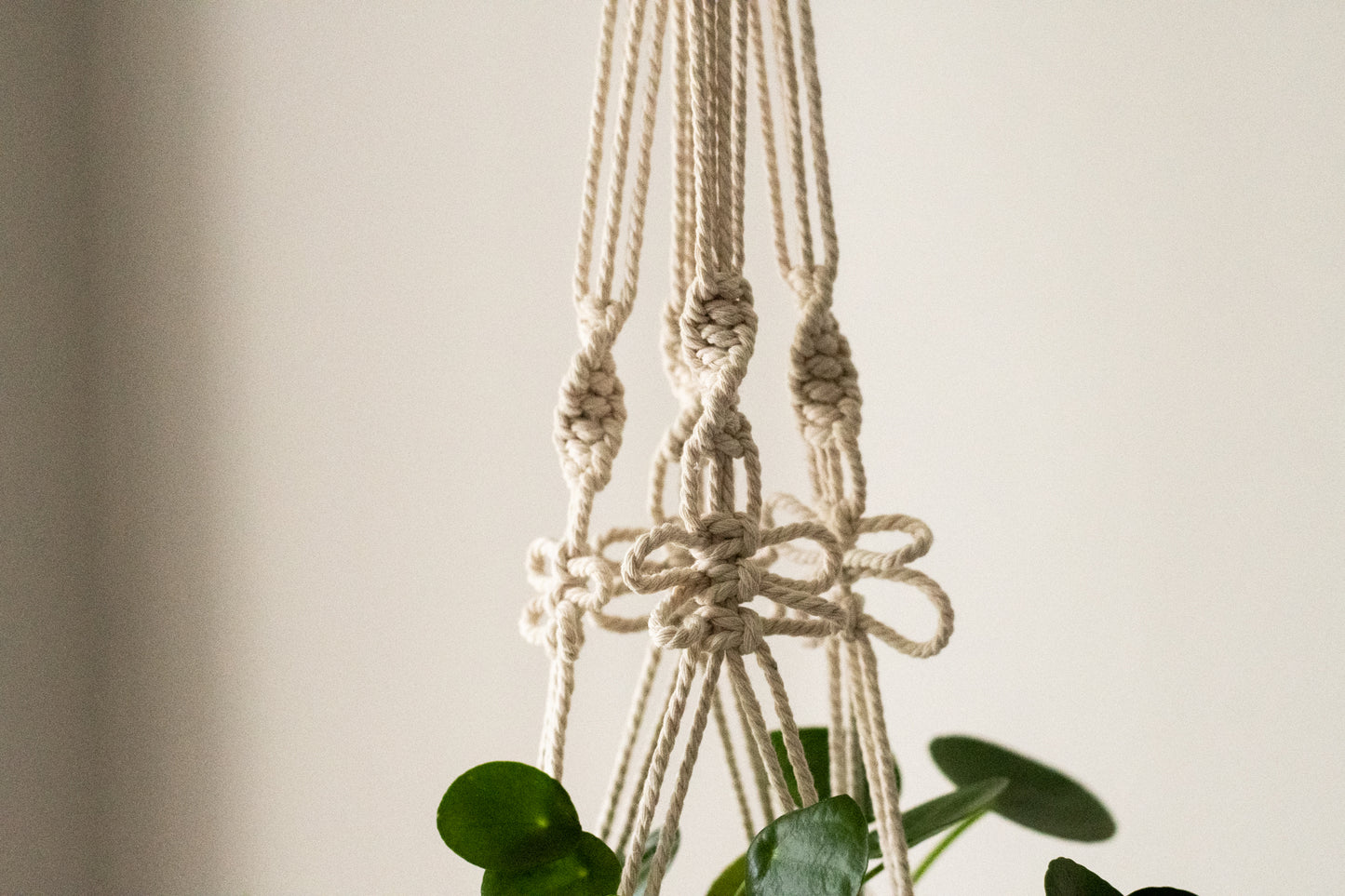 Butterfly Macrame Plant Hanger