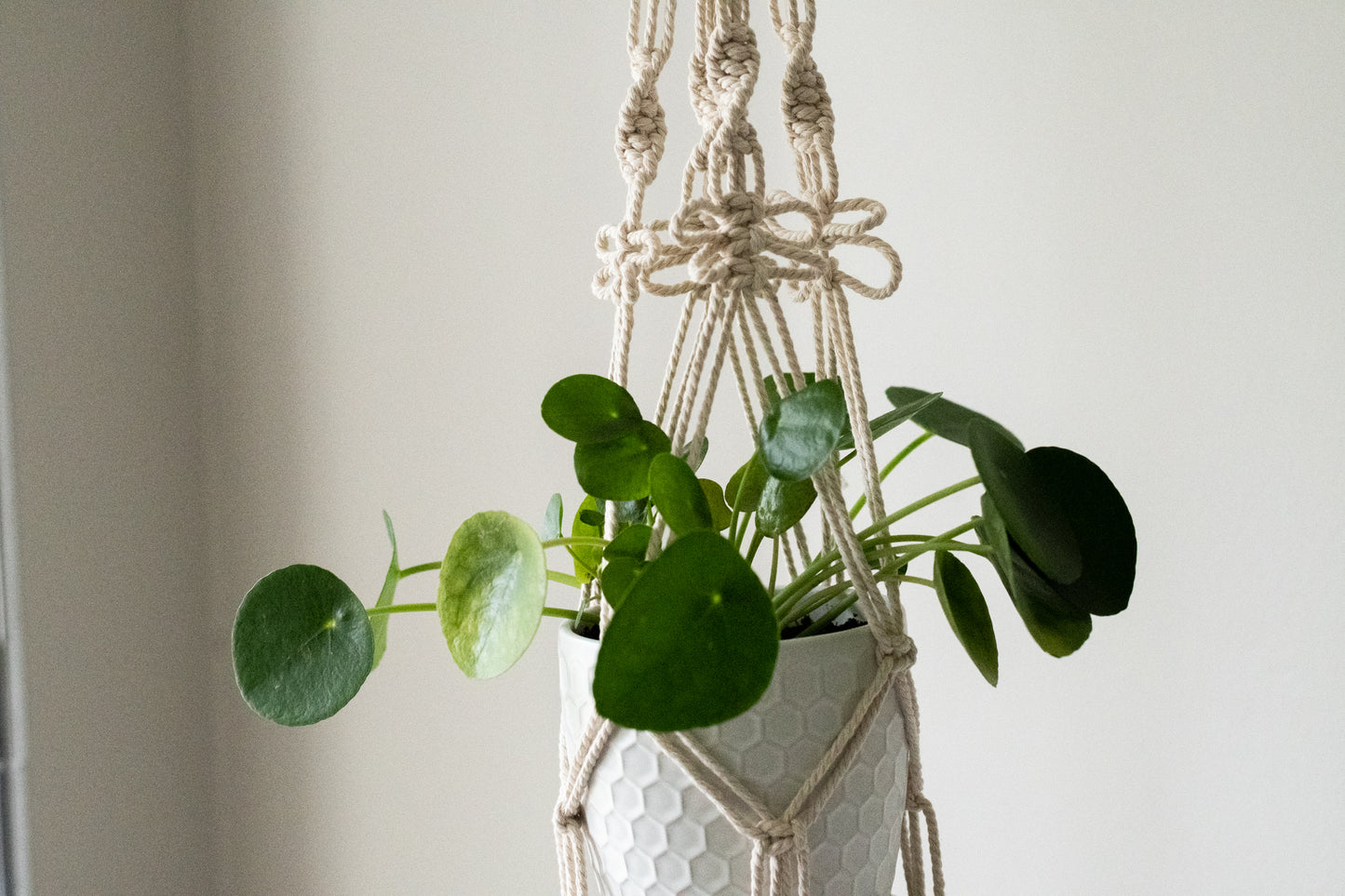 Butterfly Macrame Plant Hanger