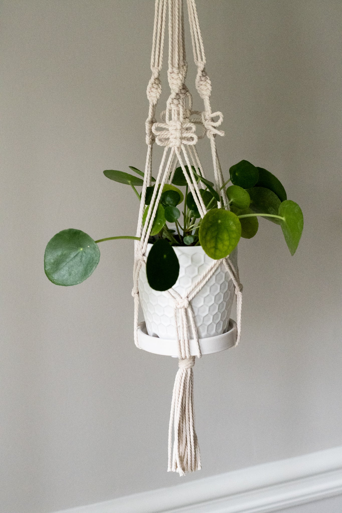 Butterfly Macrame Plant Hanger