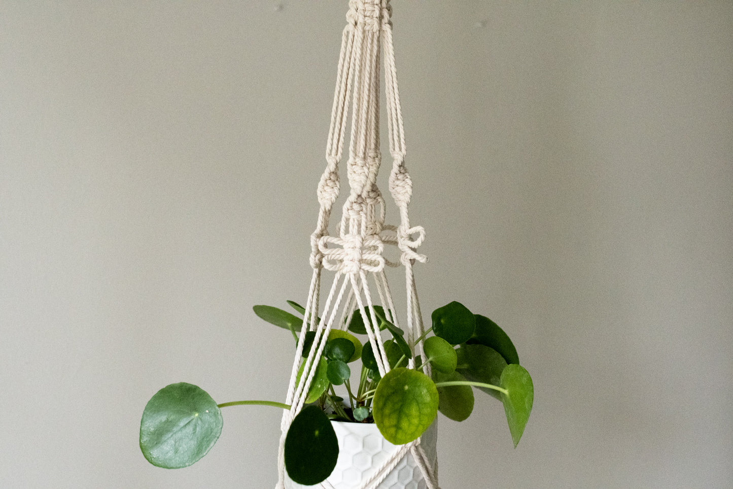 Butterfly Macrame Plant Hanger