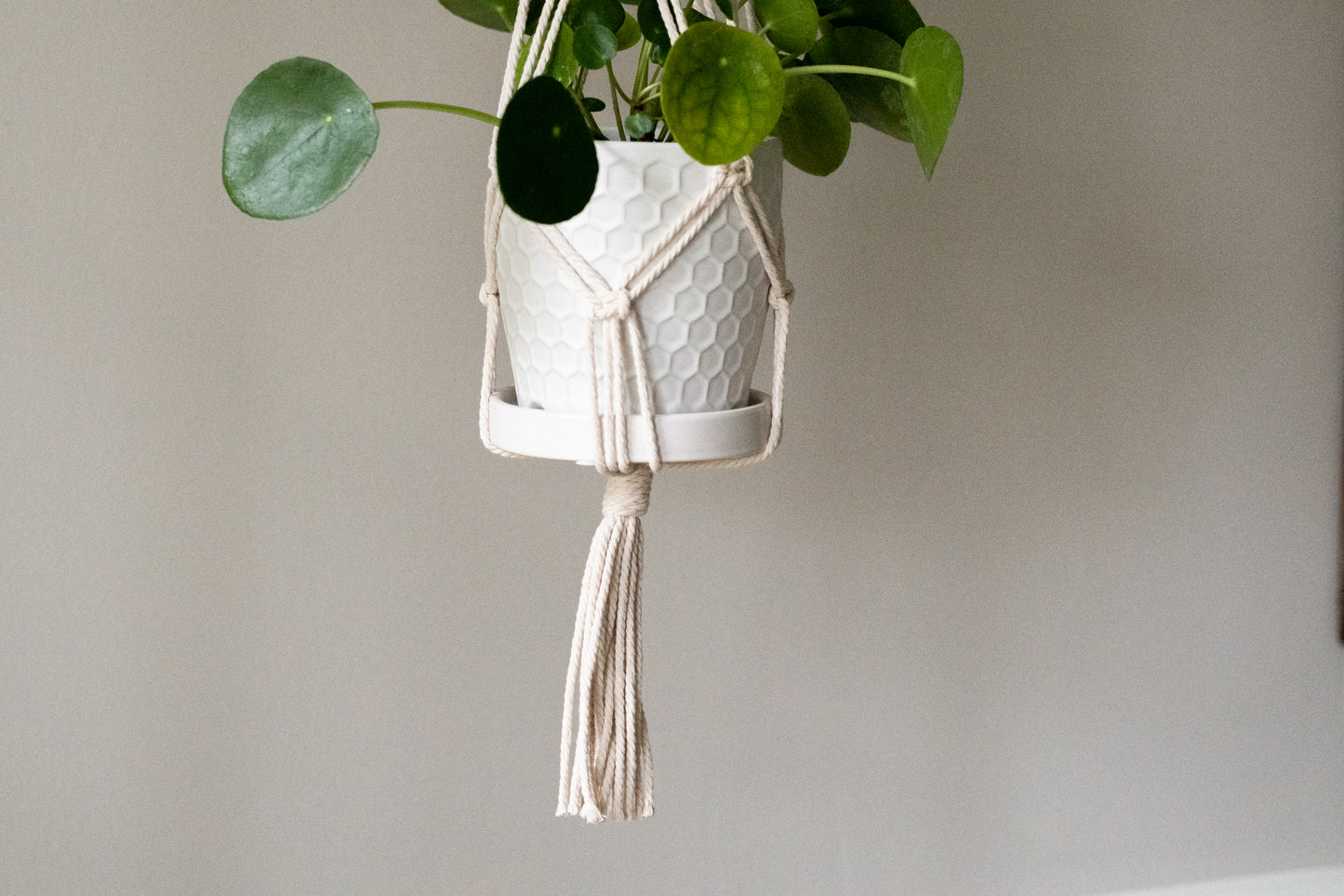 Butterfly Macrame Plant Hanger