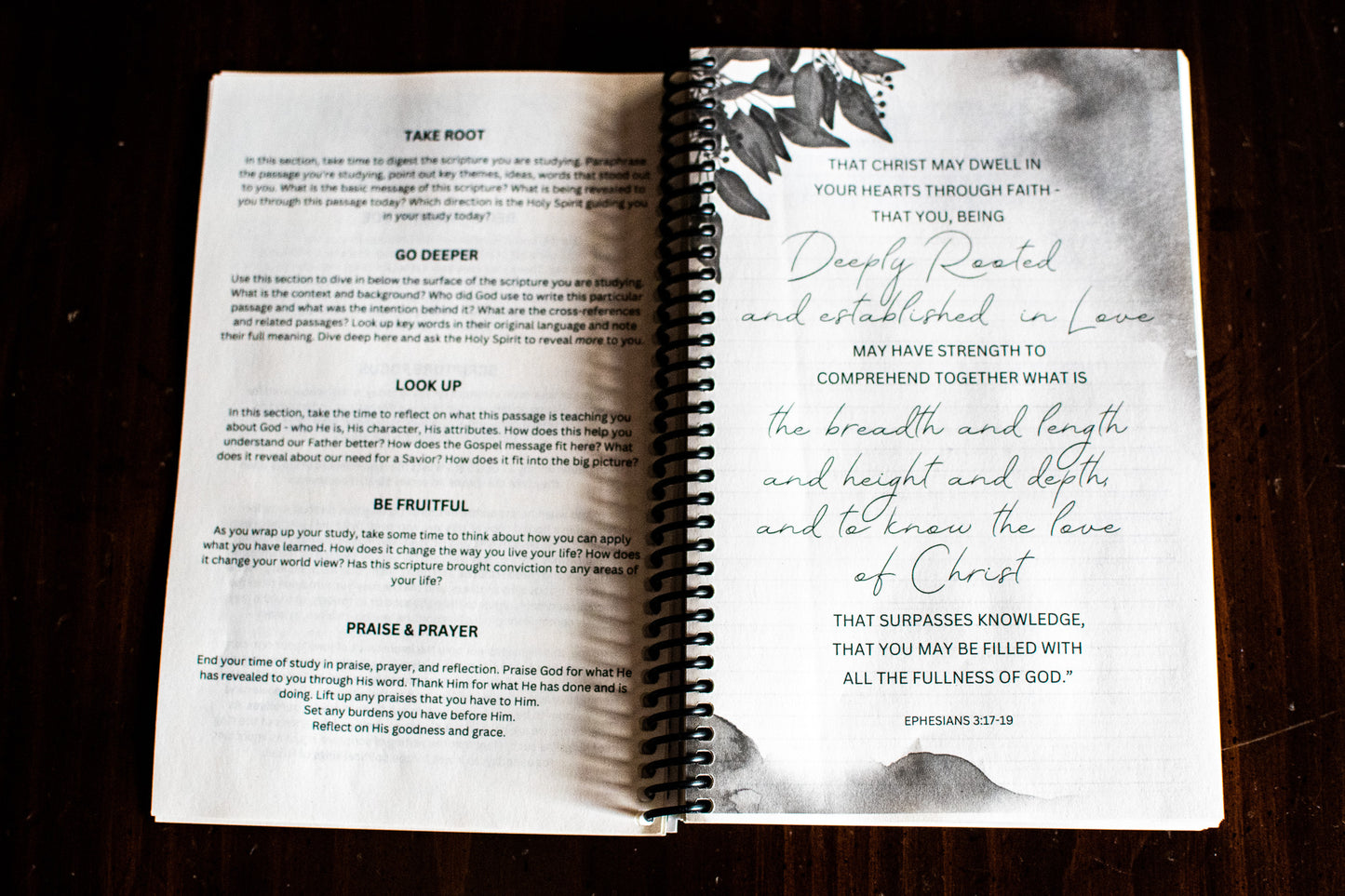 Deeply Rooted: Scripture Study Journal