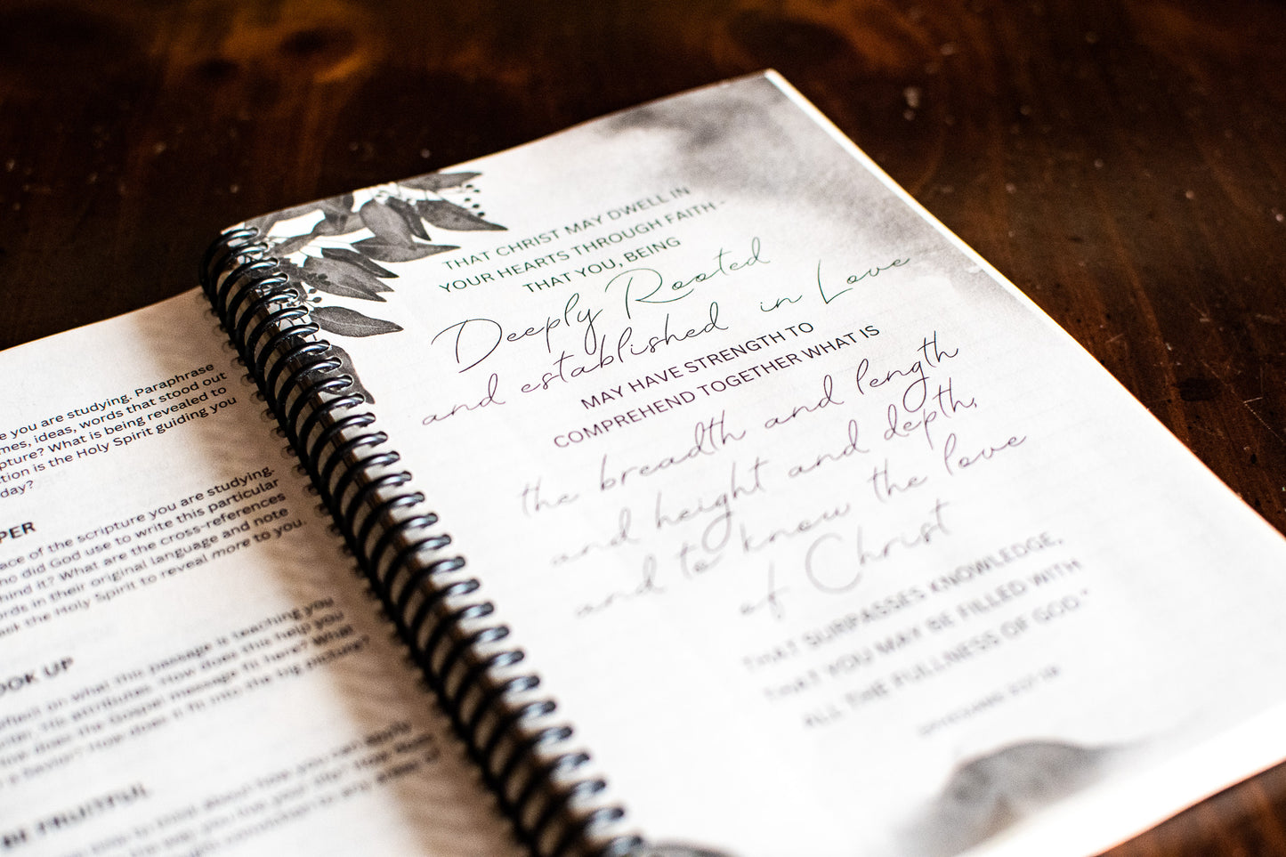 Deeply Rooted: Scripture Study Journal