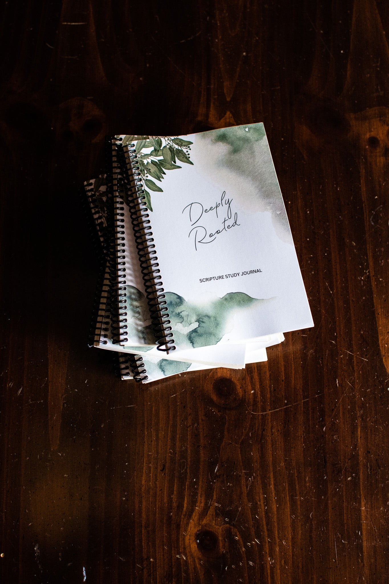 Deeply Rooted: Scripture Study Journal